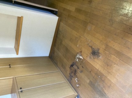 image3-2025-11-02T162948.605