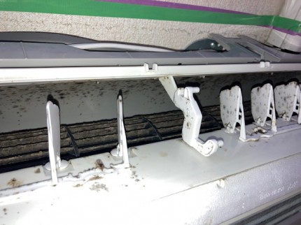 image3-2025-11-04T174711.589