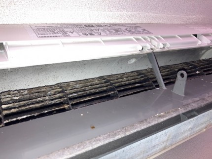 image3-2025-11-19T194709.131