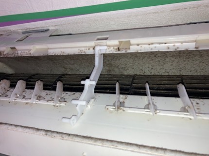 image3-2025-11-25T165758.694