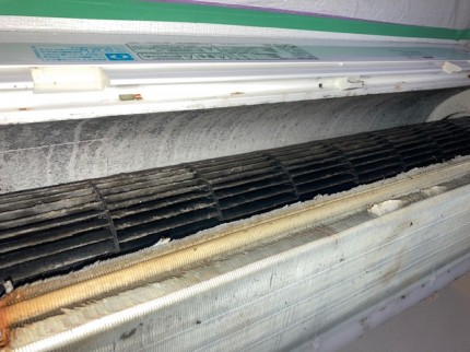 image3-2025-12-07T172841.376