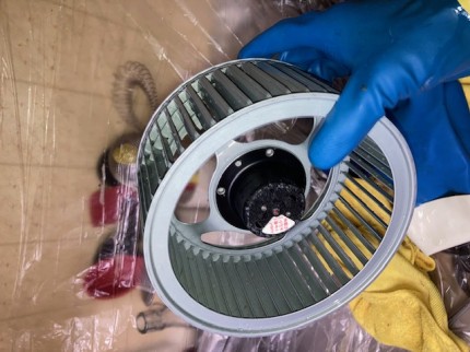 image3-2025-12-15T164259.435