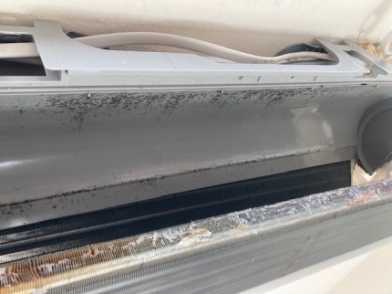 image3-2026-01-09T160545.993