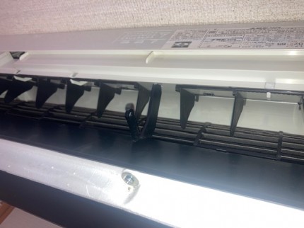 image3-2026-01-15T174440.308