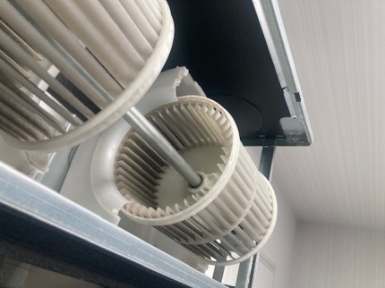 image3-2026-01-25T175224.636