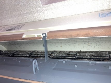 image3-2026-01-29T121702.186