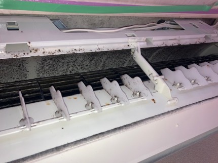 image3-2026-02-25T154854.247