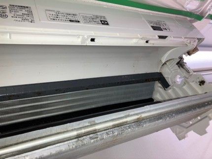 image3-2026-10-12T162208.734