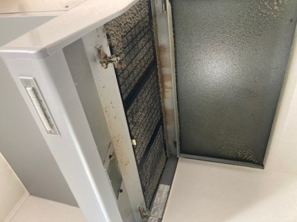 image4-2025-11-26T152448.674