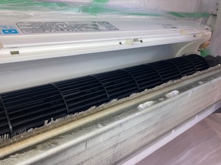 image4-2025-12-07T172847.803