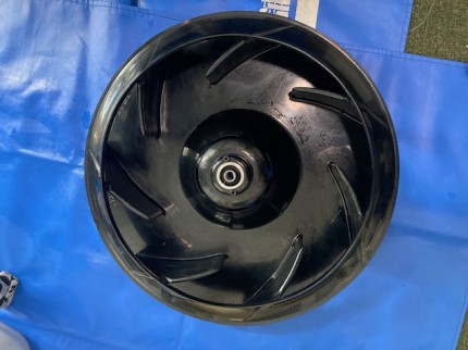 image4-2026-01-25T175252.847