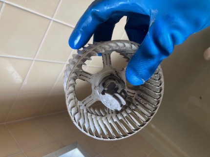 image4-2026-03-10T160334.050