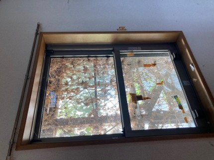 image5-2025-10-31T204742.041