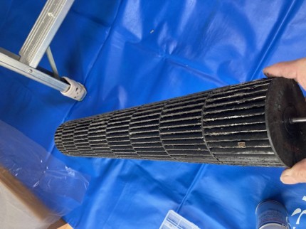 image5-2025-11-09T145027.822