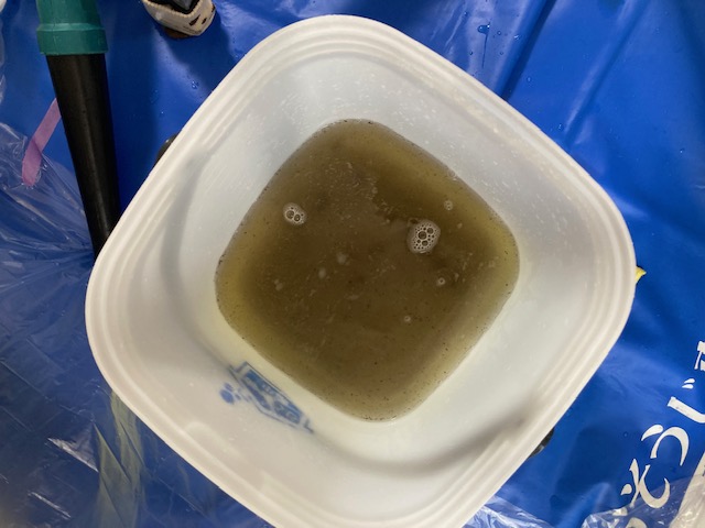 image5-2025-11-10T165513.544