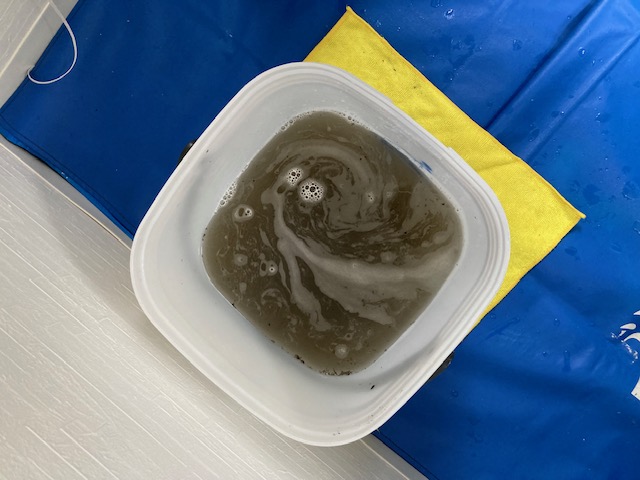 image5-2025-11-18T142117.842