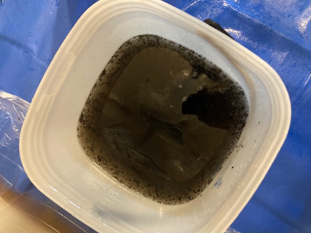 image5-2025-11-24T170904.332