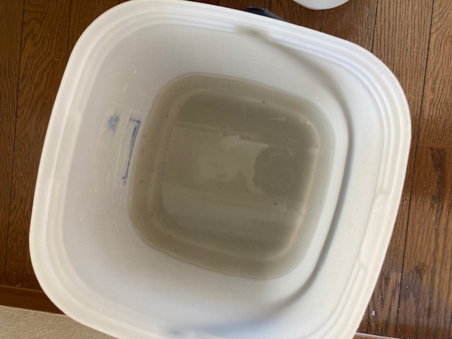 image5-2025-12-04T233120.344