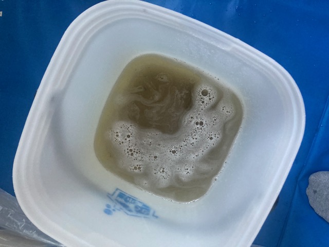 image5-2025-12-07T172740.439