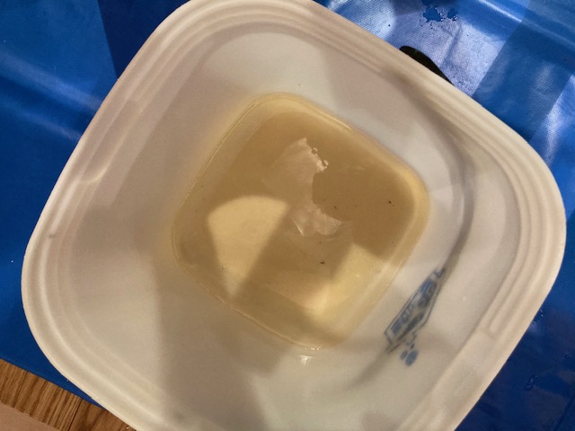 image5-2025-12-09T175457.213