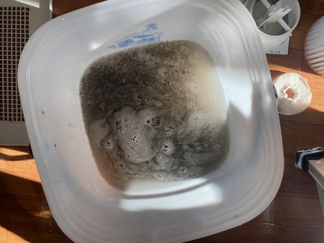 image5-2025-12-10T172059.229