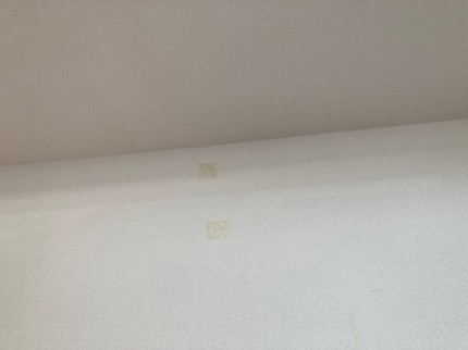 image5-2025-12-18T175409.318