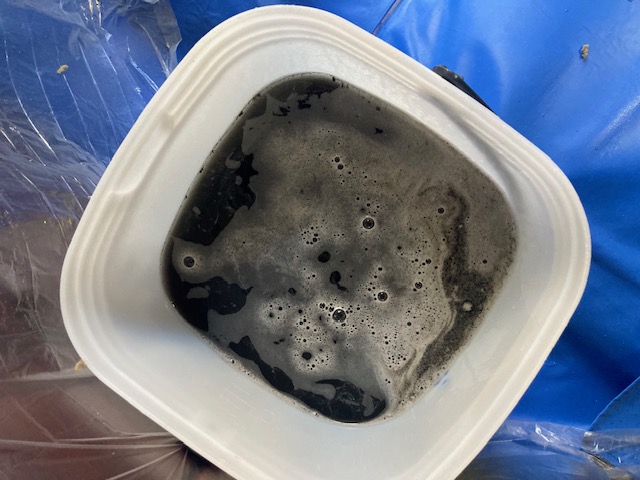 image5-2025-12-27T173449.574