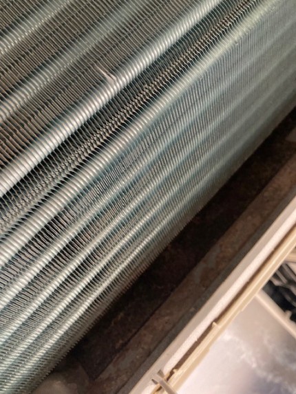 image5-2025-12-28T155633.347-e1766905208436