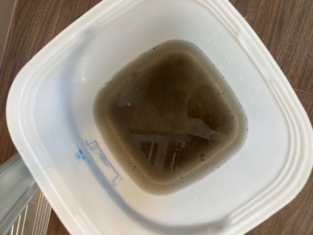 image5-2026-01-12T142652.406