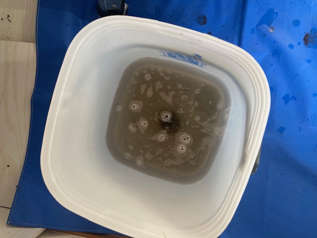 image5-2026-01-15T174443.745