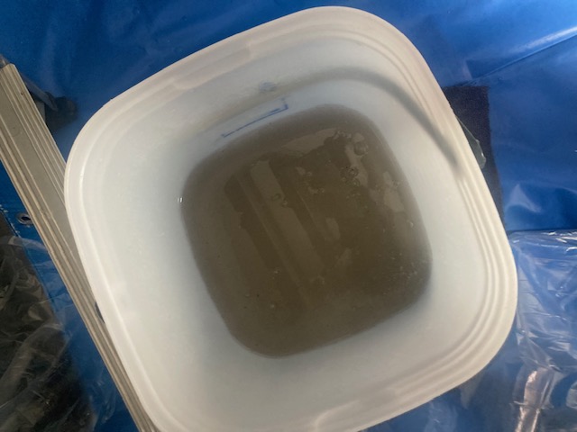 image5-2026-01-22T112336.726