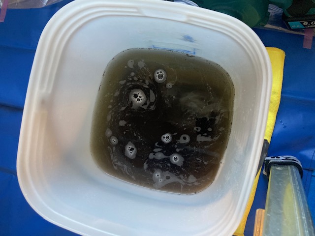 image5-2026-01-24T114759.084