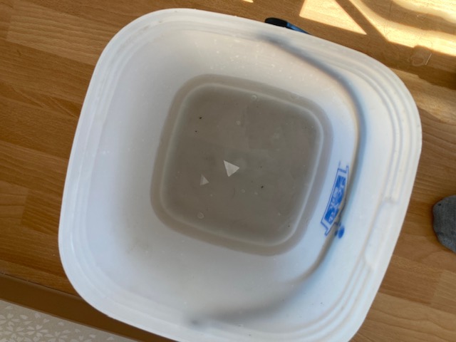 image5-2026-02-01T175507.992