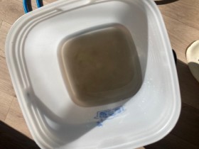 image5-2026-02-15T175530.348