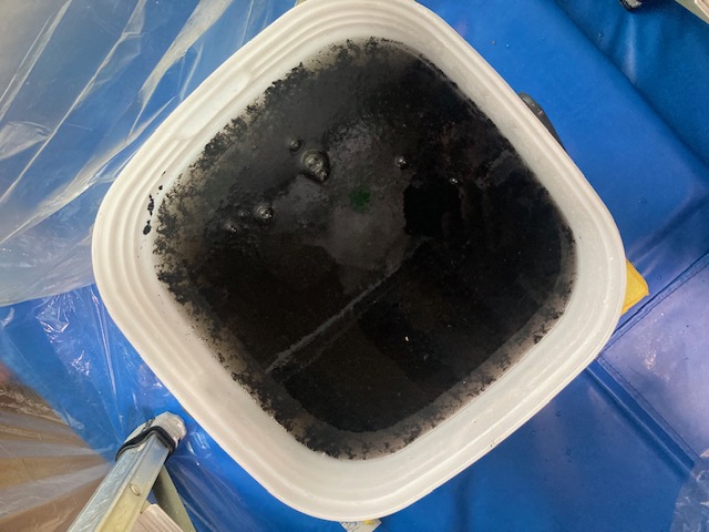 image5-2026-02-25T154858.064