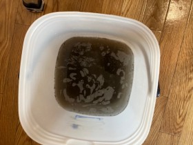 image5-2026-03-01T162625.824