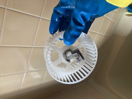 image5-2026-03-10T160337.413