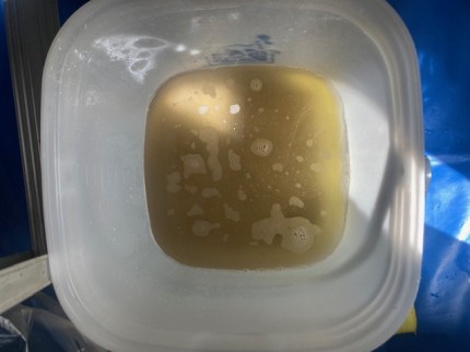 image5-2026-03-12T141336.186