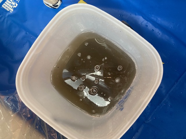 image5-2026-03-12T141358.811