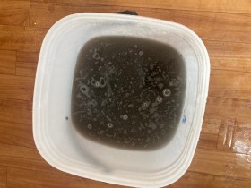 image5-2026-03-21T114740.902