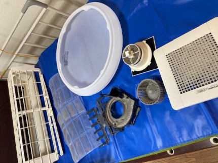 image6-2025-12-03T171313.216