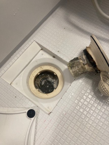 image6-2025-12-14T151258.383-e1765693020308