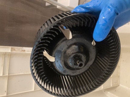 image6-2026-01-11T162735.827