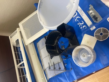 image6-2026-02-07T154839.708