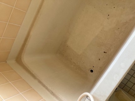 image6-2026-03-10T160339.906