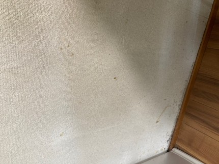 image7-2025-11-10T165519.794