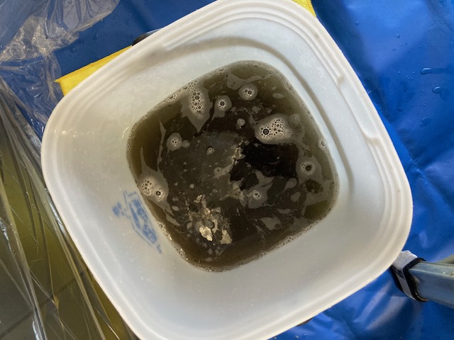 image7-2025-12-28T155637.063