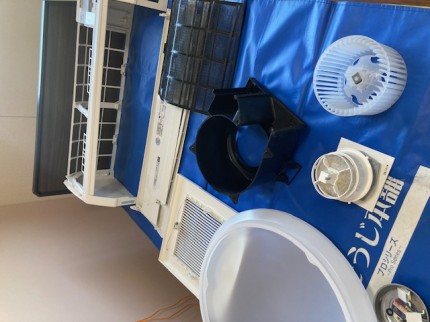 image7-2026-01-13T135930.903