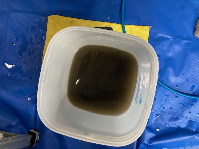 image7-2026-01-25T175301.622