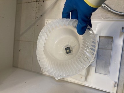 image8-2025-10-22T164238.708